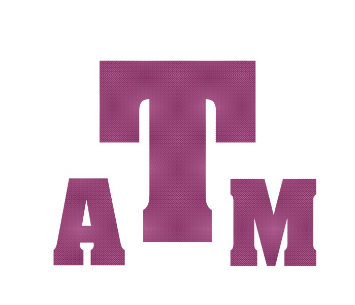 Texas A&M Info